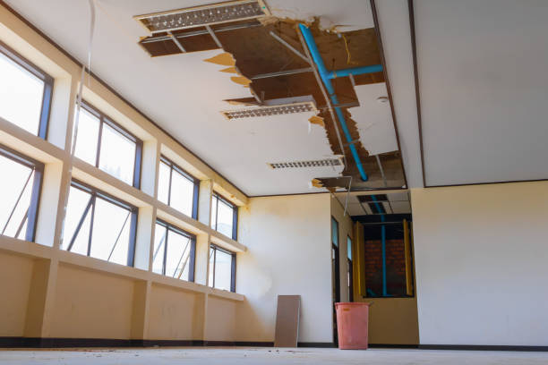 Best Ceiling water damage repair  in Kingston, PA