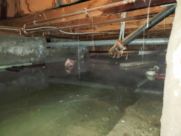  Kingston, PA Water damage restoration Pros