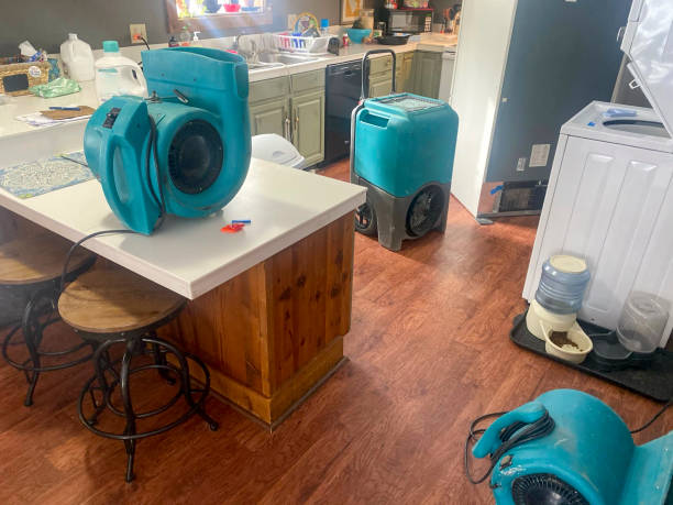 Best Flooded house restoration  in Kingston, PA