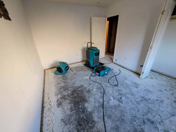Best Residential water damage restoration  in Kingston, PA