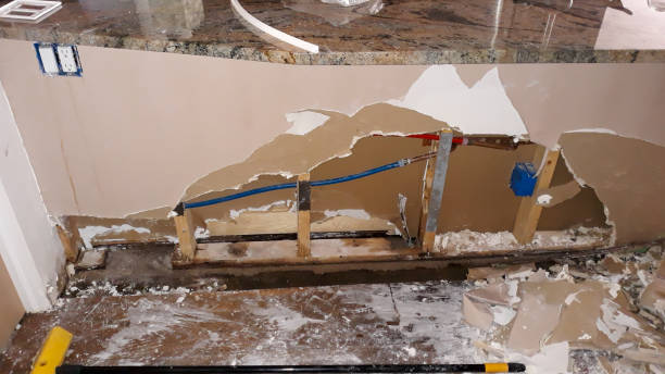 Best Flood damage cleanup  in Kingston, PA