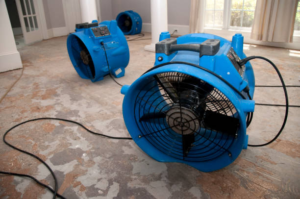 Professional Water damage restoration in Kingston, PA