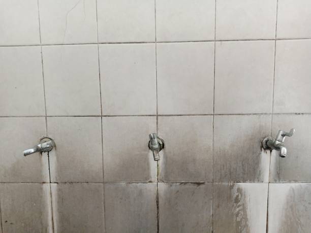 Best Basement water damage restoration  in Kingston, PA