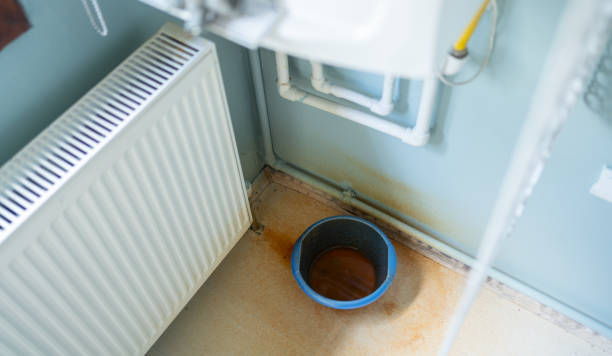 Best Carpet water damage restoration  in Kingston, PA